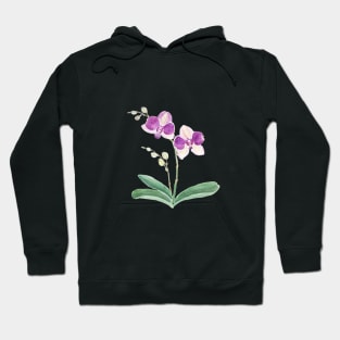 purple orchid watercolor Hoodie